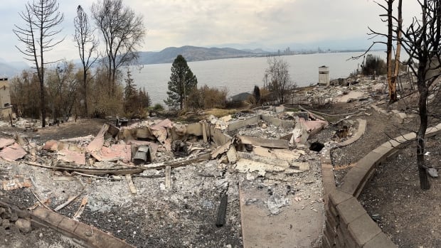 On emotional bus tours, some wildfire evacuees return to West Kelowna, B.C., to see what’s left of their homes