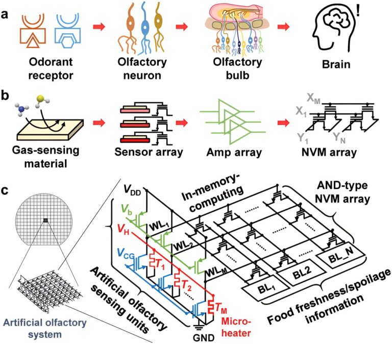 Can an artificial nose detect food spoilage?