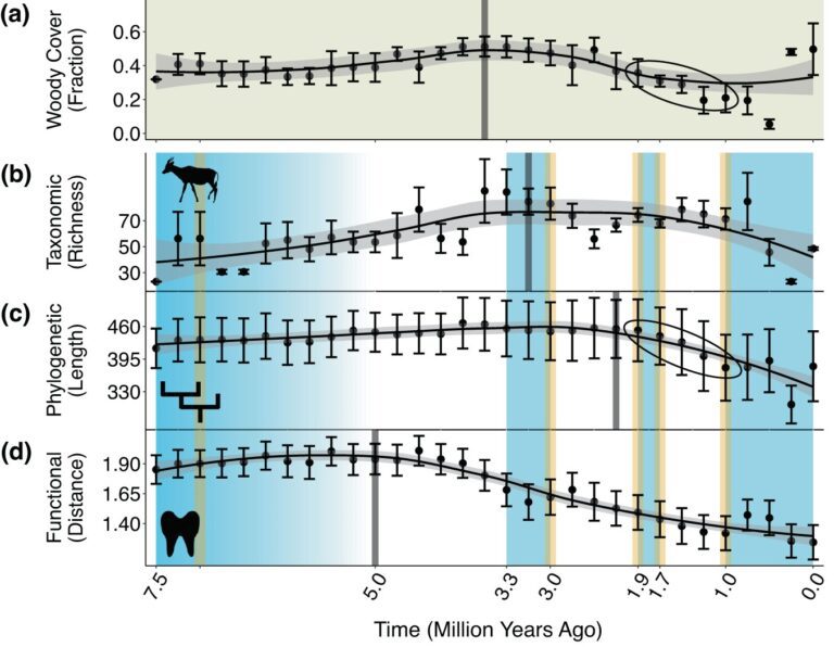 Novel method sheds light on future challenges for mammals