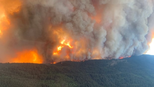 27 structures destroyed by wildfire burning along Hwy 1 near Lytton, B.C., regional district says