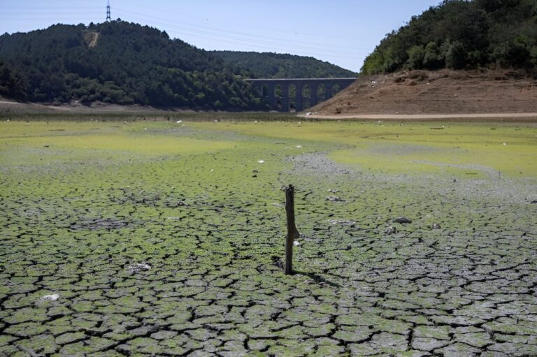 Istanbul dams run low in summer heat