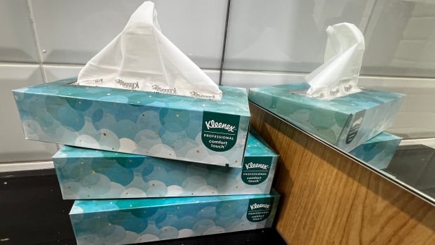 B.C. Supreme Court partially certifies personal injury class-action lawsuit against Kleenex manufacturer