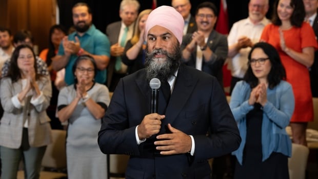 Singh launches broadside against Poilievre as New Democrats prepare for Parliament’s return