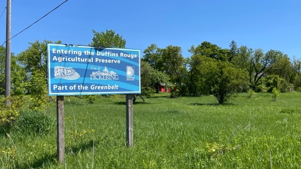 Greenbelt controversy putting pressure on Ford government, knocking it off message, experts say