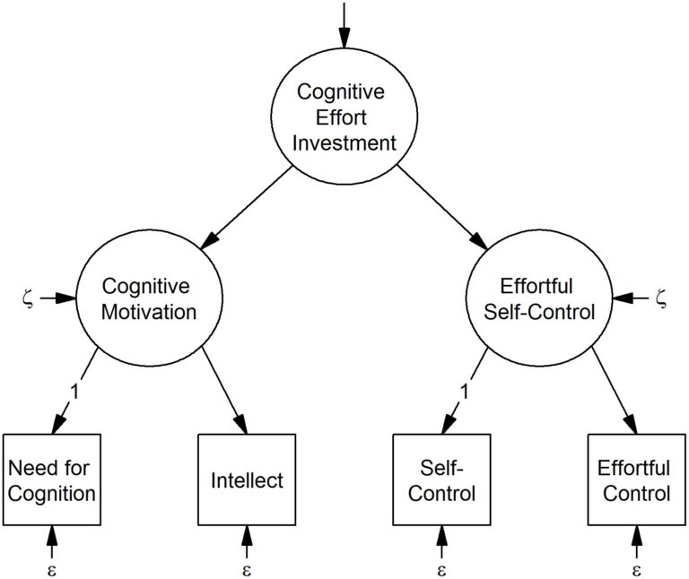 Cognitive effort investment: Does disposition become action?