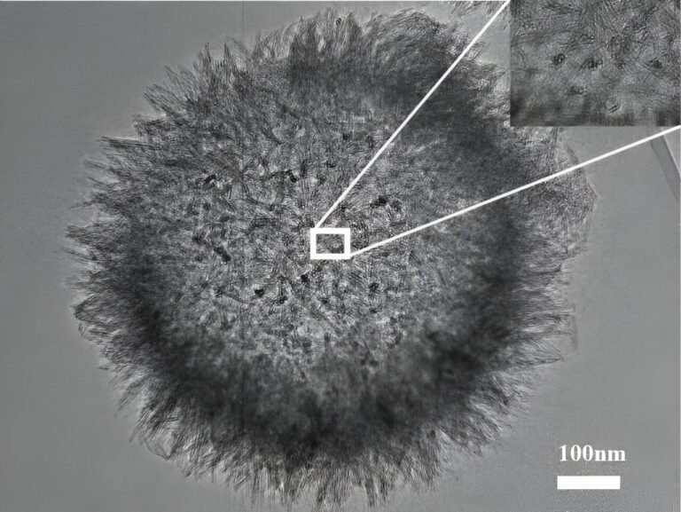 Researchers achieve efficient nutrient delivery to crop leaves through nanomaterial surface roughness engineering