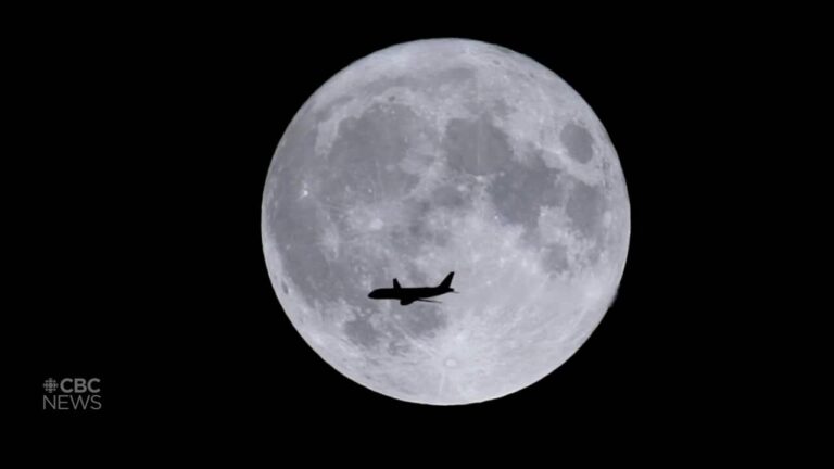 Plane, geese fly in front of super blue moon in Windsor, Ont.