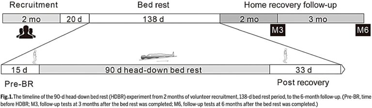 The Astronaut Center of China 90-d head-down bed rest: Overview, countermeasures, and effects