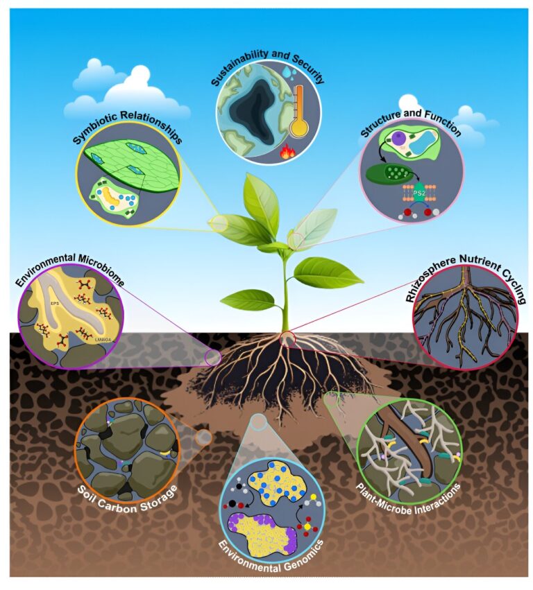 The molecular recipe for building climate change-resistant plants