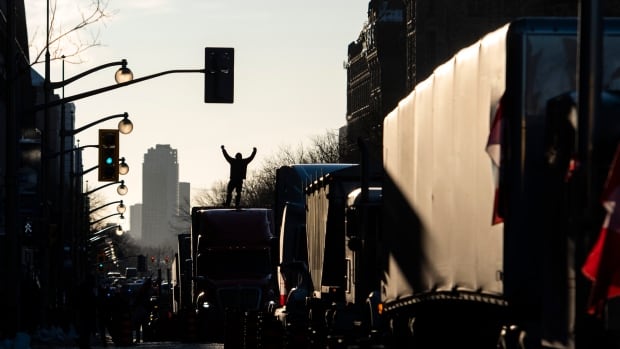 Scope of convoy protest ‘exceeded expectations,’ co-organizers’ trial hears