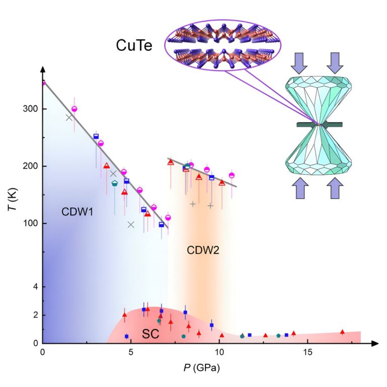 Two distinct charge density wave orders and their intricate interplay with superconductivity in pressurized CuTe