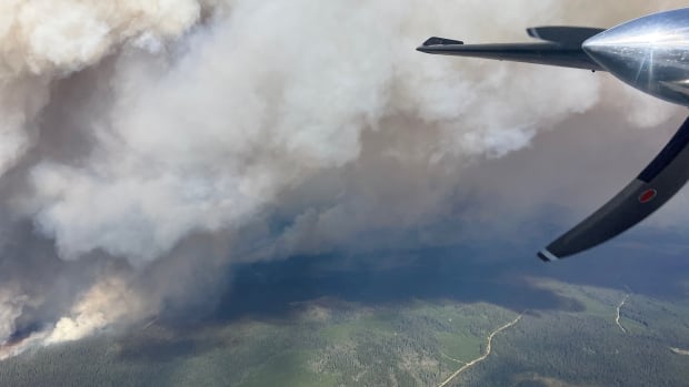 First Nation, regional district in central B.C. Interior orders wildfire evacuations