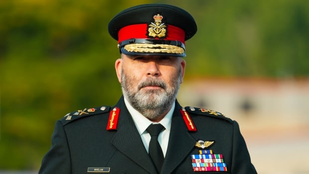 Military withdraws final conduct charge against Lt.-Gen. Steven Whelan