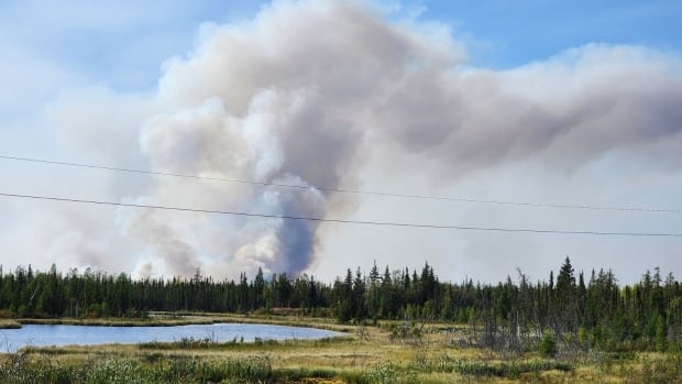 Fires around Yellowknife to flare up until snowfall: N.W.T. Minister