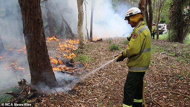 Total fire bans are also in place across greater Sydney, the Hunter region, north-western NSW and the far south coast