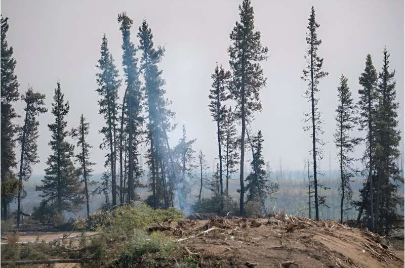 Canada's fires were fueled by drier and hotter conditions caused by climate change -- and by releasing greenhouse gasses into the atmosphere, these fires in turn contribute to global warming