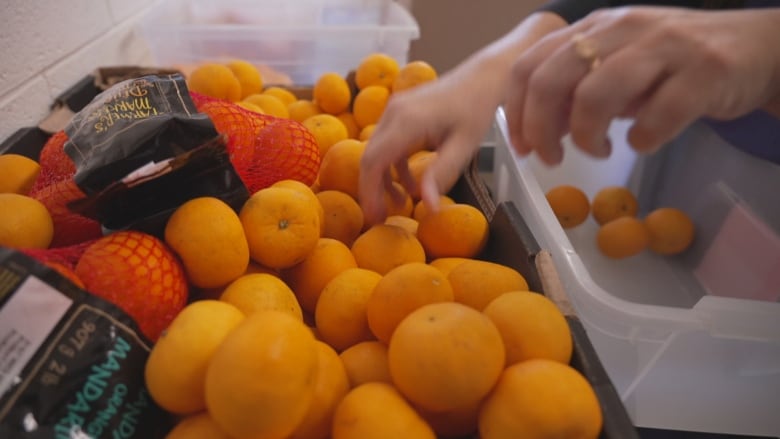 A person's hands are shown as they pick through a pile of oranges.