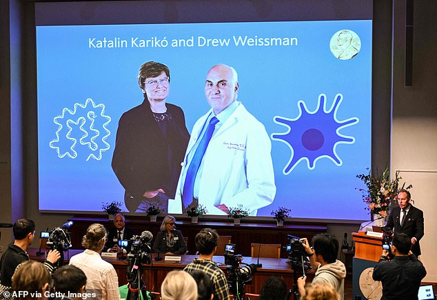 Katalin Karikó is a professor at Szeged University in Hungary and an adjunct professor at the University of Pennsylvania . Drew Weissman performed his prizewinning research together with Professor Karikó at the University of Pennsylvania. Pictured, the two laureates today during the announcement of the winners of the 2023 Nobel Prize in Physiology or Medicine at the Karolinska Institute in Stockholm