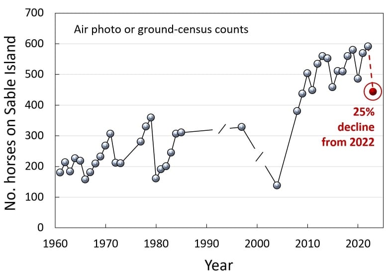 A graphic with dots indicated the number of horses on Sable Island by decade. 