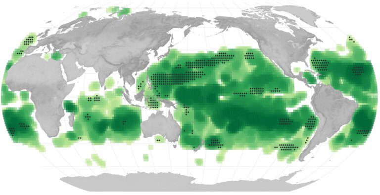 Climate Change Is Shifting Our Oceans From Blue to Green