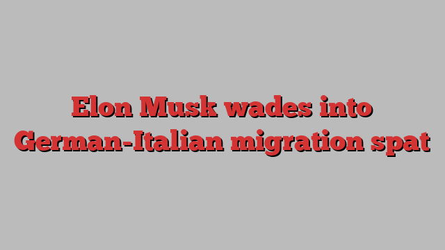 Elon Musk wades into German-Italian migration spat