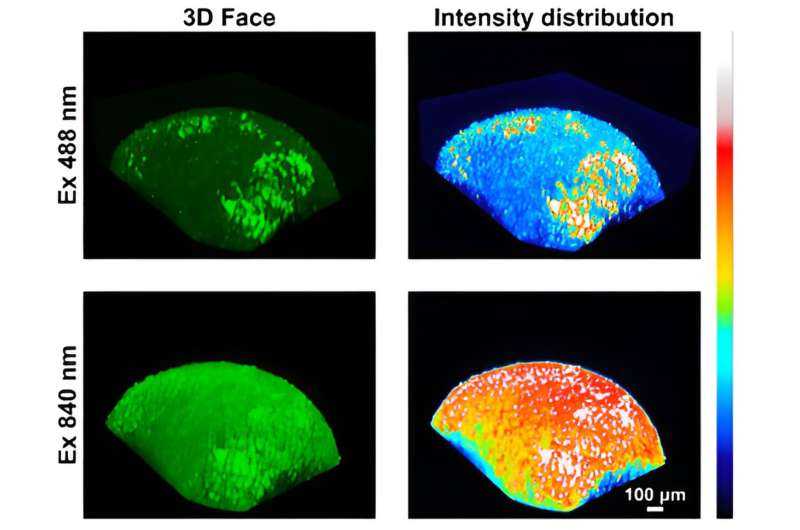 University of Cincinnati-designed probes provide researchers with more detailed data