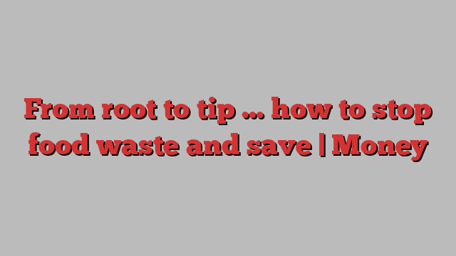 From root to tip … how to stop food waste and save | Money