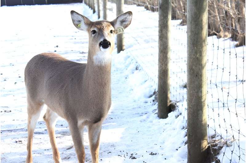 Identifying biosecurity to prevent CWD transmission