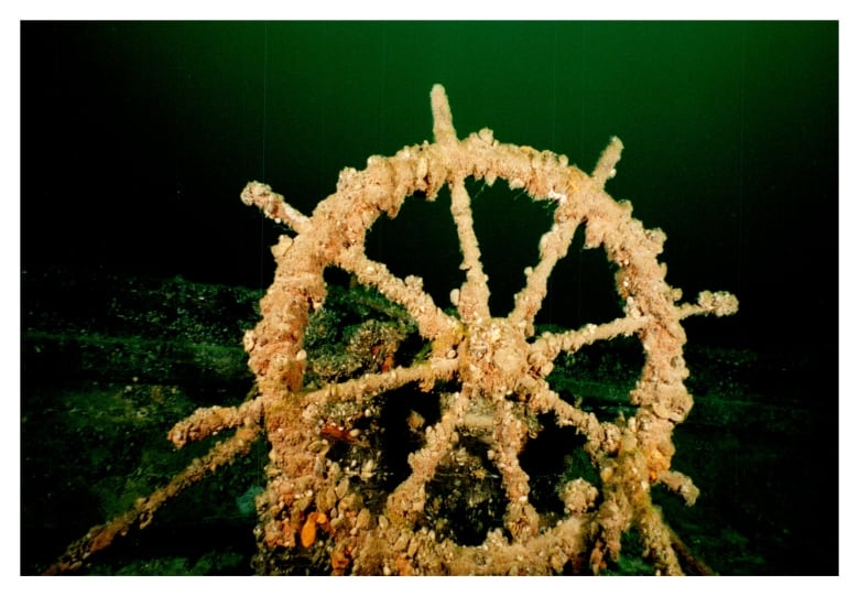 A zebra mussel-encrusted ship's wheel as part of a wreck of the Oliver Mowat, laying at the bottom of Lake Ontario near Kingston.