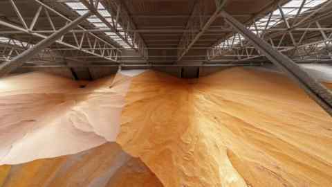 A mountain of corn grits inside a grain terminal