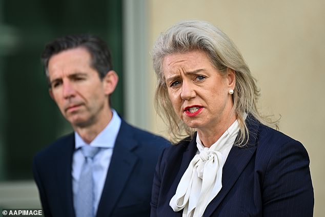 Nationals senator Bridget McKenzie slams Anthony Albanese over Indigenous Voice to Parliament