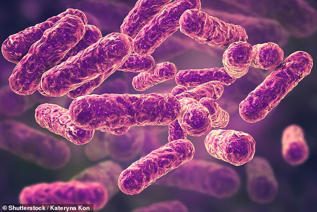 Scientists test ‘grandma hypothesis’ and reveal these two places on the body are germ-filled