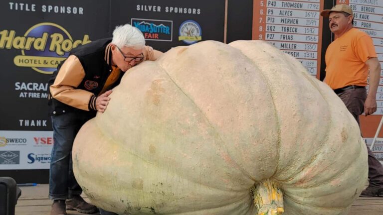 #TheMoment a 2,212-pound pumpkin went on tour and won 1st prize