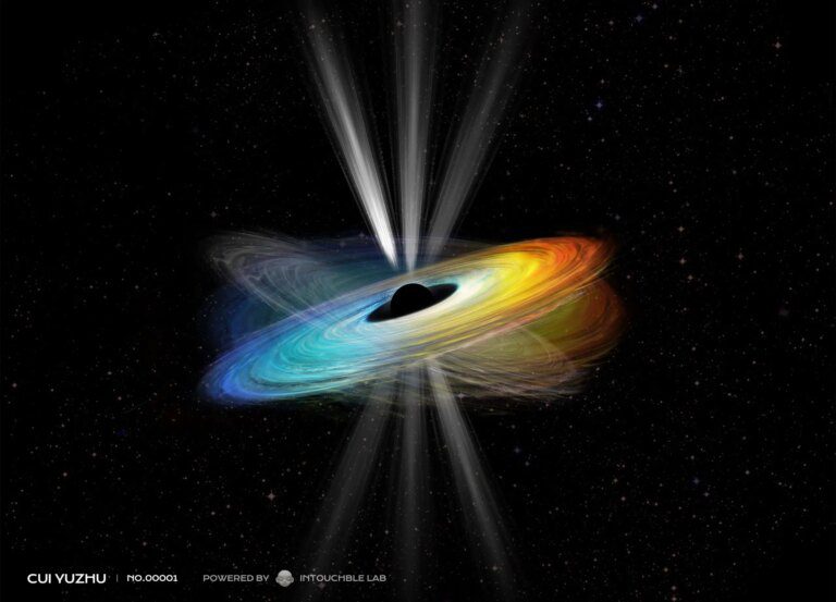 A Spin on Black Hole Mysteries