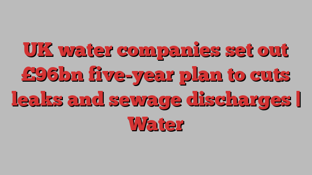 UK water companies set out £96bn five-year plan to cuts leaks and sewage discharges | Water