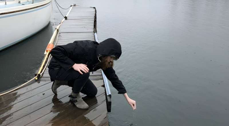 Undergraduate researcher discovers unexpected diversity in key river microorganisms