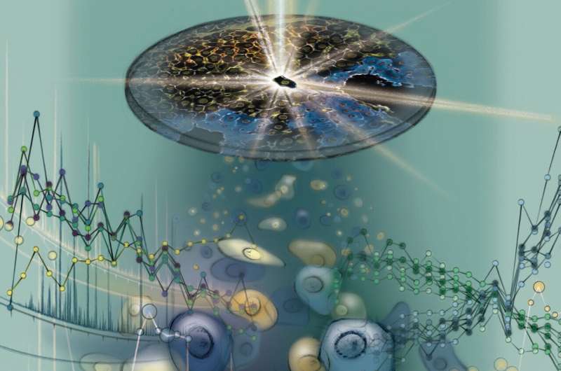 Understanding the single cell proteome in the context of their tissue