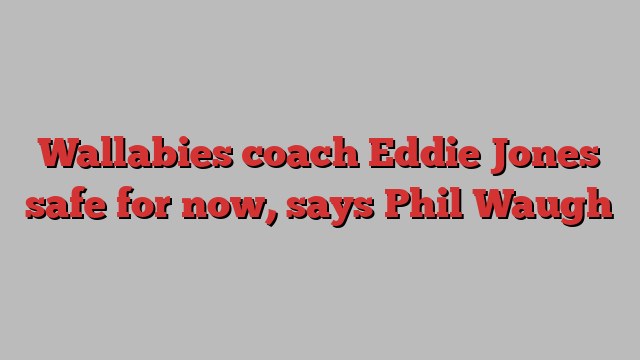 Wallabies coach Eddie Jones safe for now, says Phil Waugh