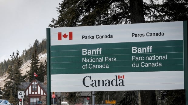 Bear that killed campers in Banff not previously known to Parks Canada