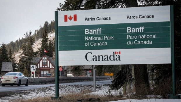 2 killed in bear attack at Banff National Park, grizzly euthanized, Parks Canada says