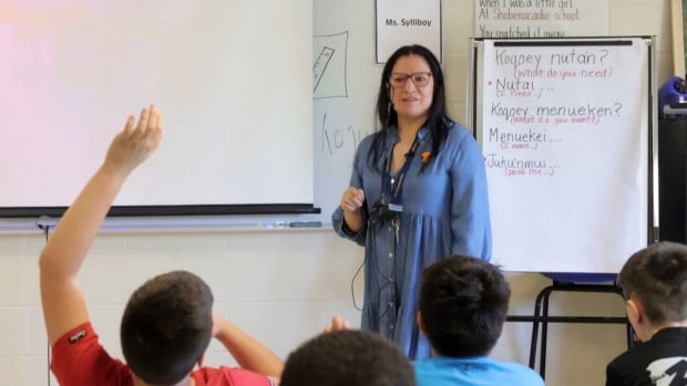 Residential schools tried to eradicate Mi’kmaw. The language needs help to survive