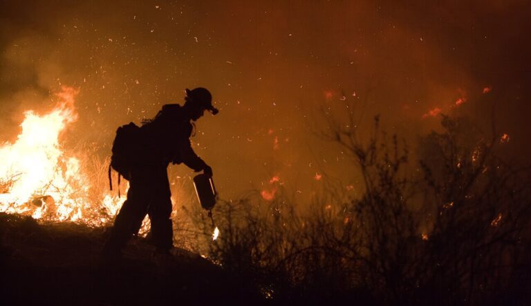 Simultaneous large wildfires will increase in Western US, says study