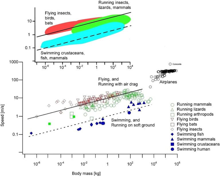 Research demonstrates the power of rhythm as a design element in evolution and robotics