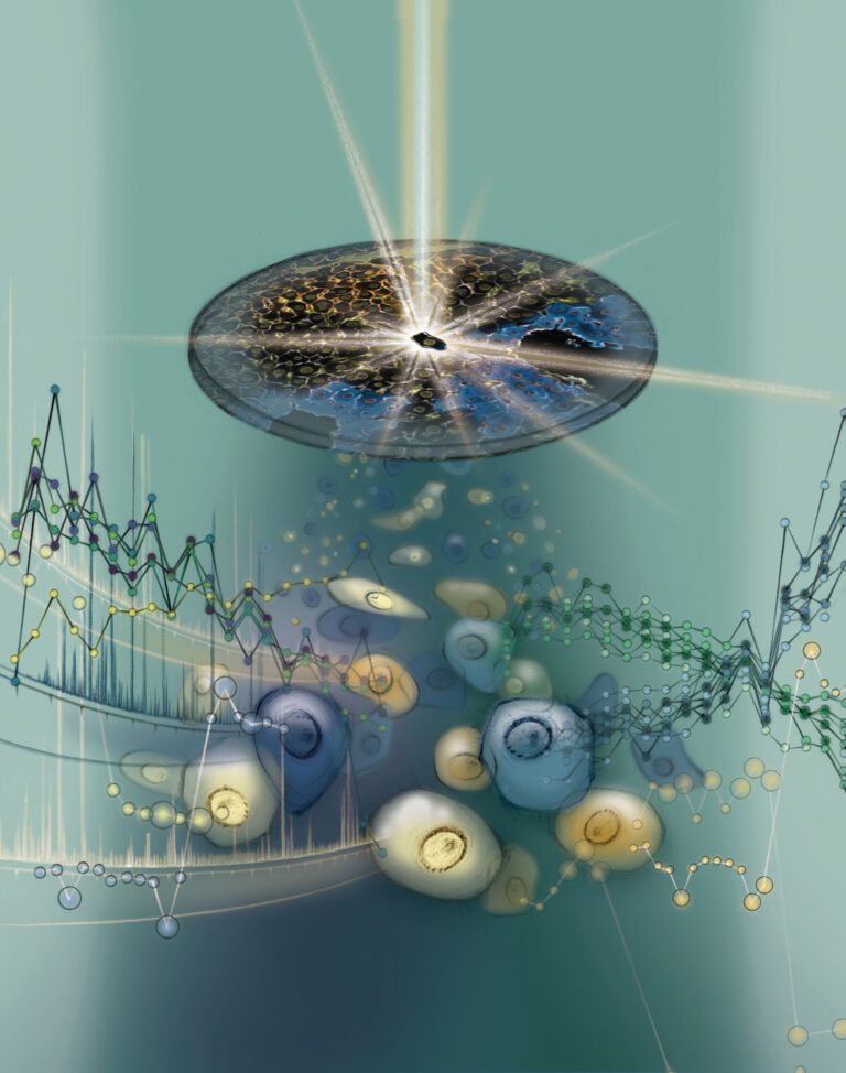 Understanding the single cell proteome in the context of surrounding tissue