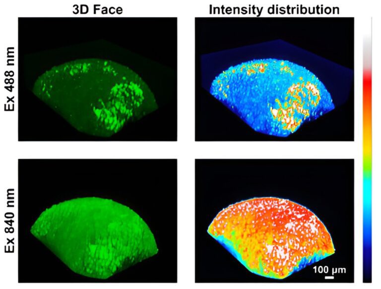 Fluorescent and radiometric probes provide researchers with more detailed data