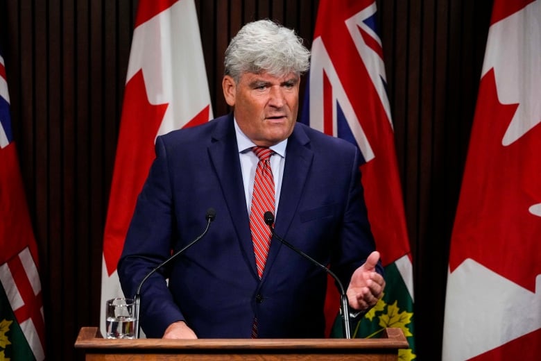  John Fraser stands at a podium with flags in the background. 