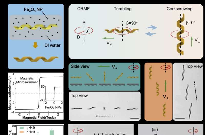 Shape-changing helical microswimmers could revolutionize biomedical applications