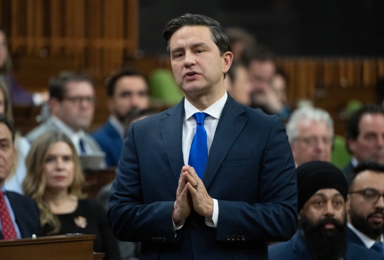 Conservative leader Pierre Poilievre rises during Question Period