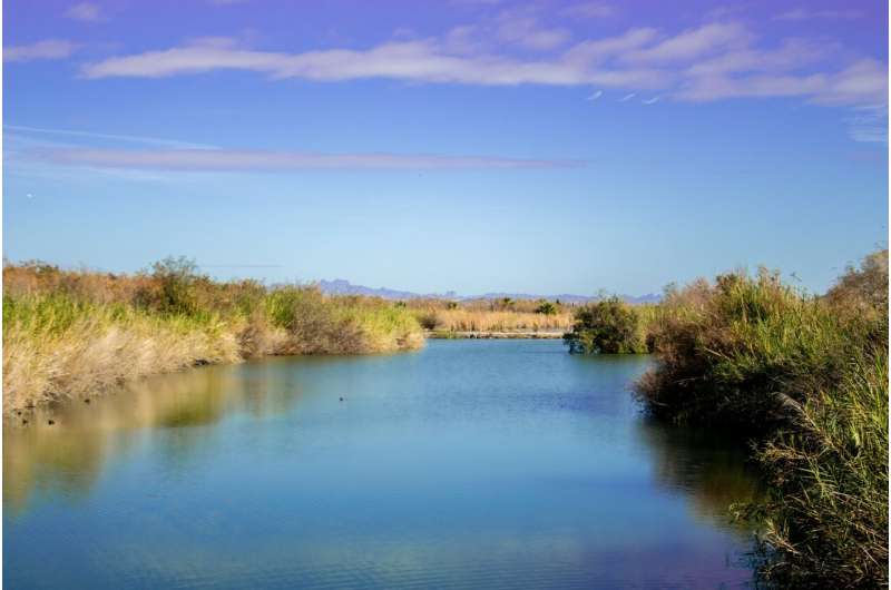 Colorado River