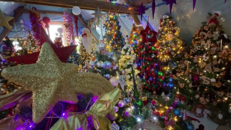 One house. Hundreds of Christmas trees.